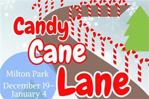 Candy Cane Lane
