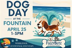 Dog Day at the Fountain