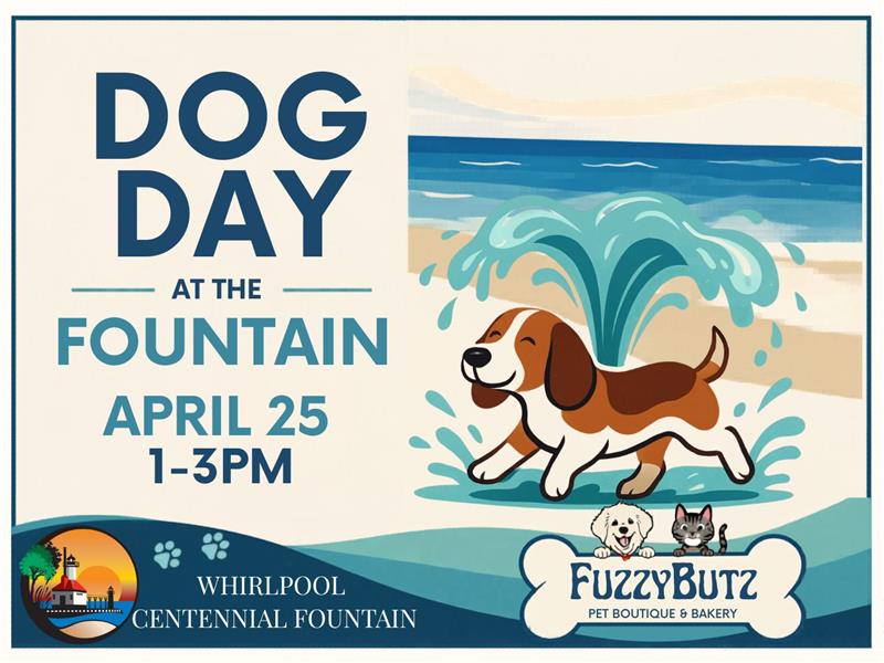 Dog Day at the Fountain Dog Day at the Fountain